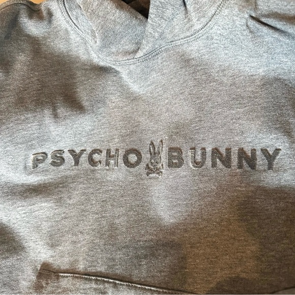 Psycho Bunny Kids Pullover Hooded Sweatshirt Felt Spell Out Logo M (10-12) #256 - Picture 2 of 5